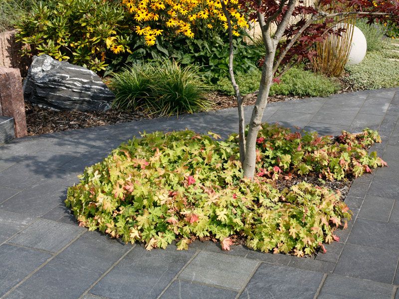 Gartenpflege mit Christian Holm Garten- und Landschaftsbau